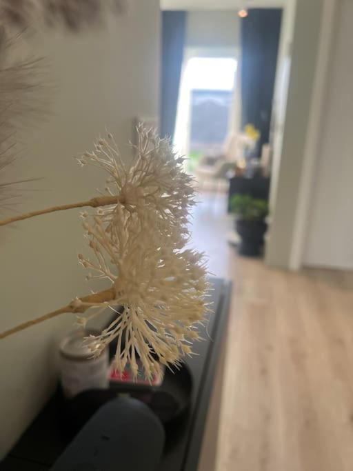 Golden Circle House 1 Appartamento Selfoss Esterno foto